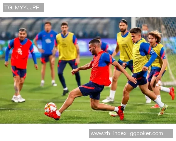 球队简介：探索球队历史成就与未来发展潜力的全景分析